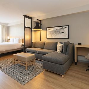 King Room Sofa Bed